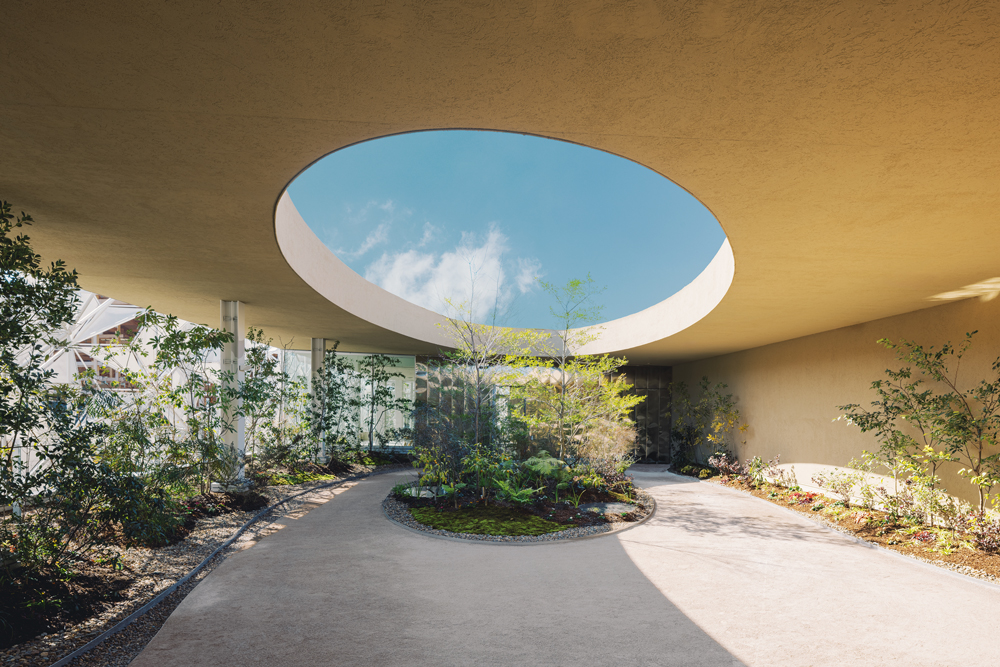 展馆二楼，使用本地植物打造的景观花园.jpg