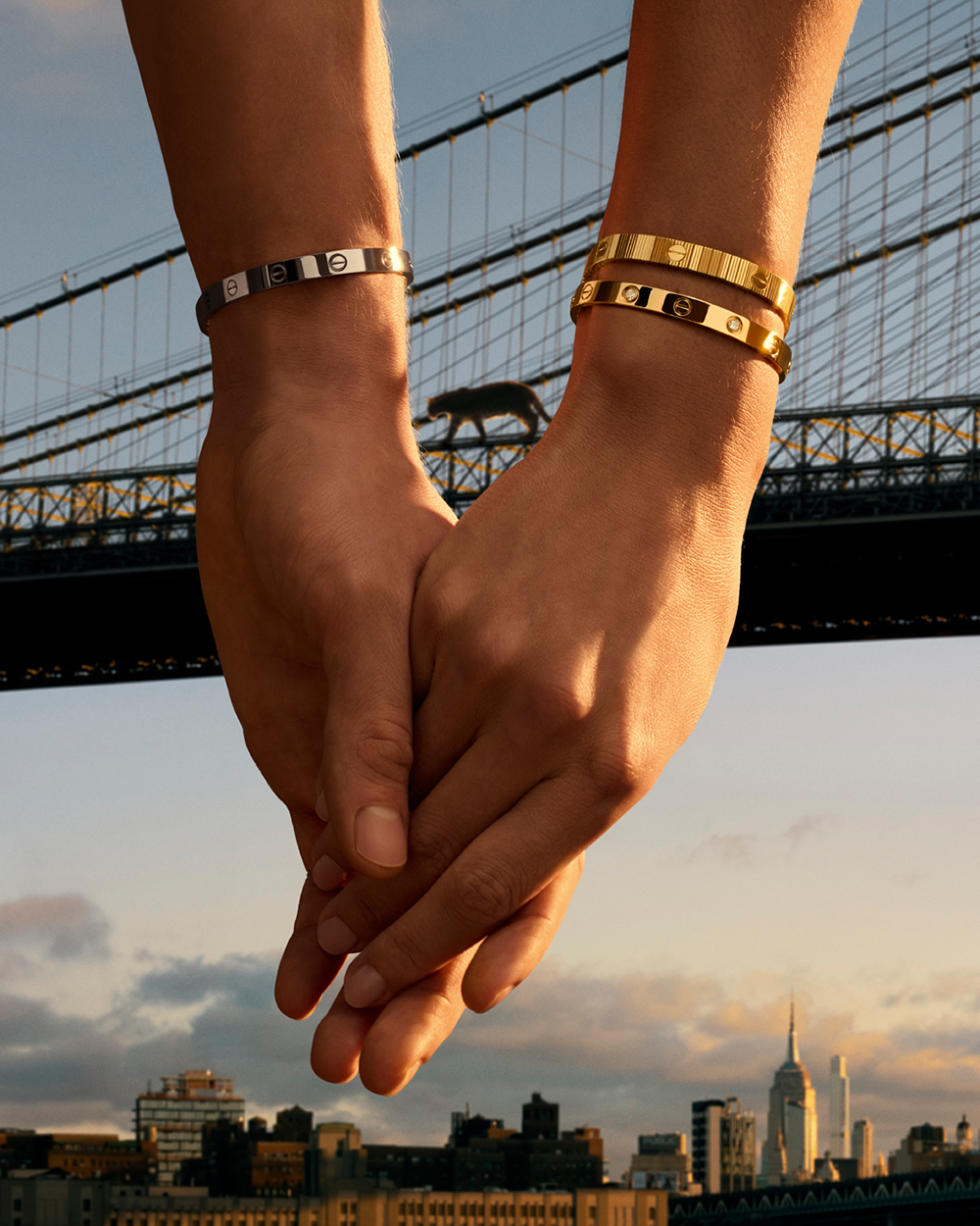 图-(2)-Robbie-Lawrence-©-&-Cartier.png