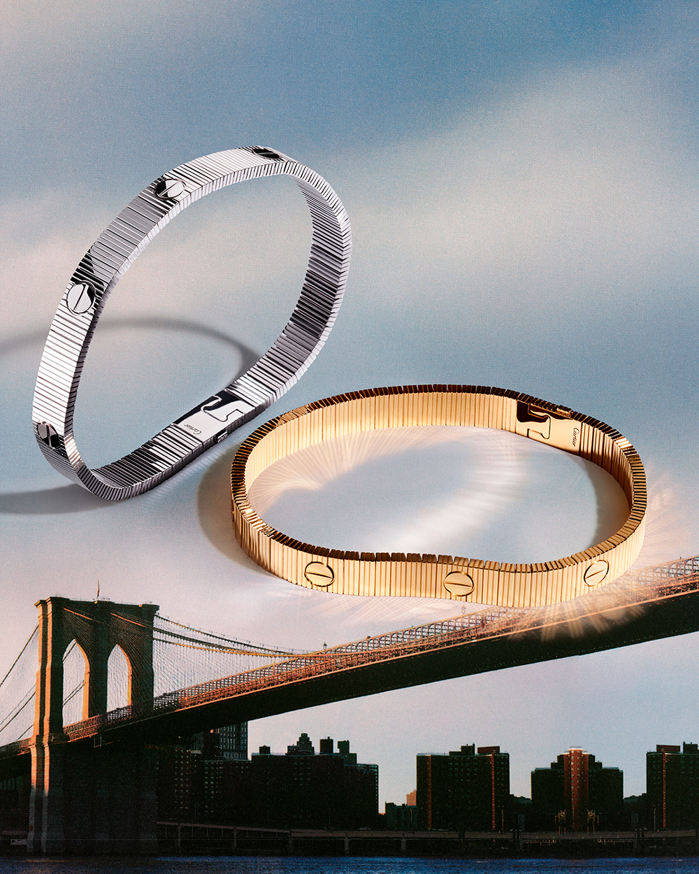 图-(4)-Robbie-Lawrence-©-Peter-Langer-©-&-Cartier (1).jpg