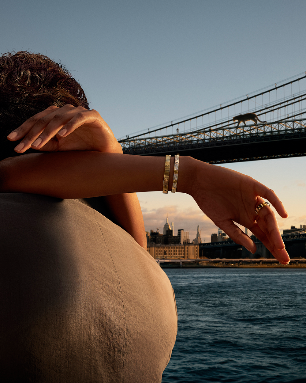 图-(3)-Robbie-Lawrence-©-&-Cartier.png