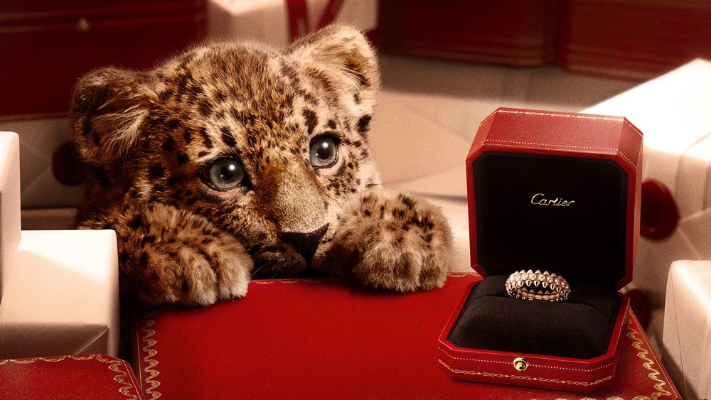 2-PUDI10836_Clash_Ring_1920x1080