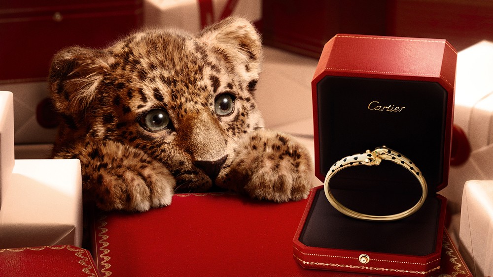 1-PUDI10837_Panthere_Bracelet_Closeup_1920x1080