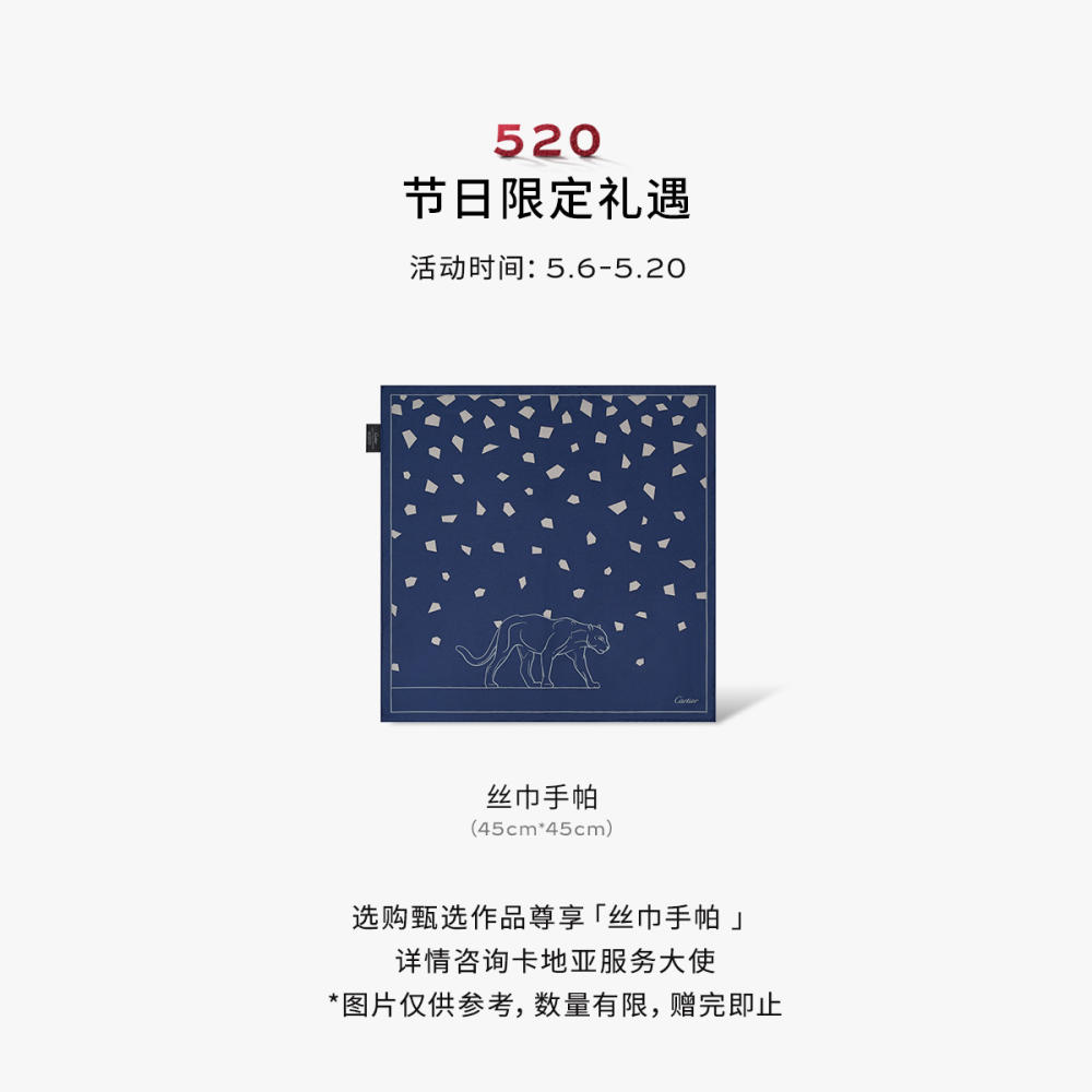 Santos de Cartier链式手链，中号款 18K白金
