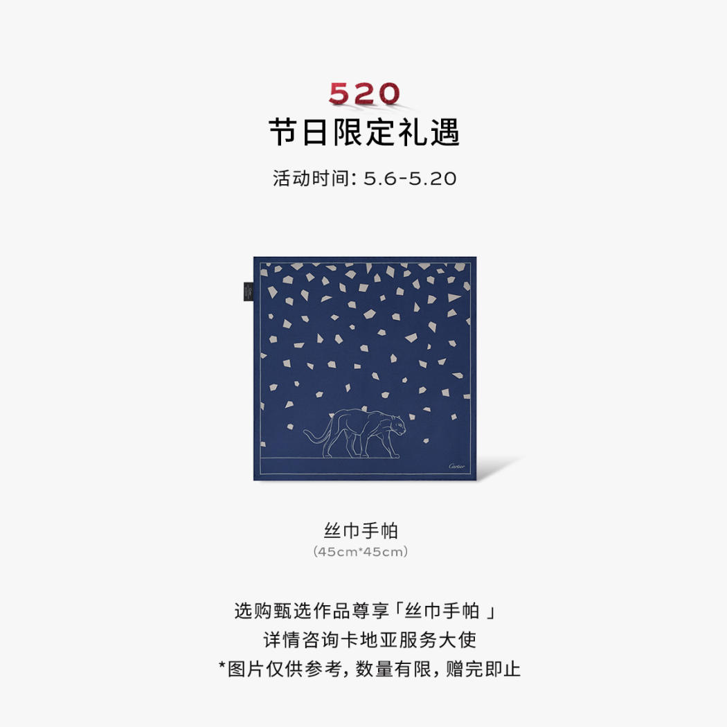 Santos de Cartier链式手链，中号款 18K白金