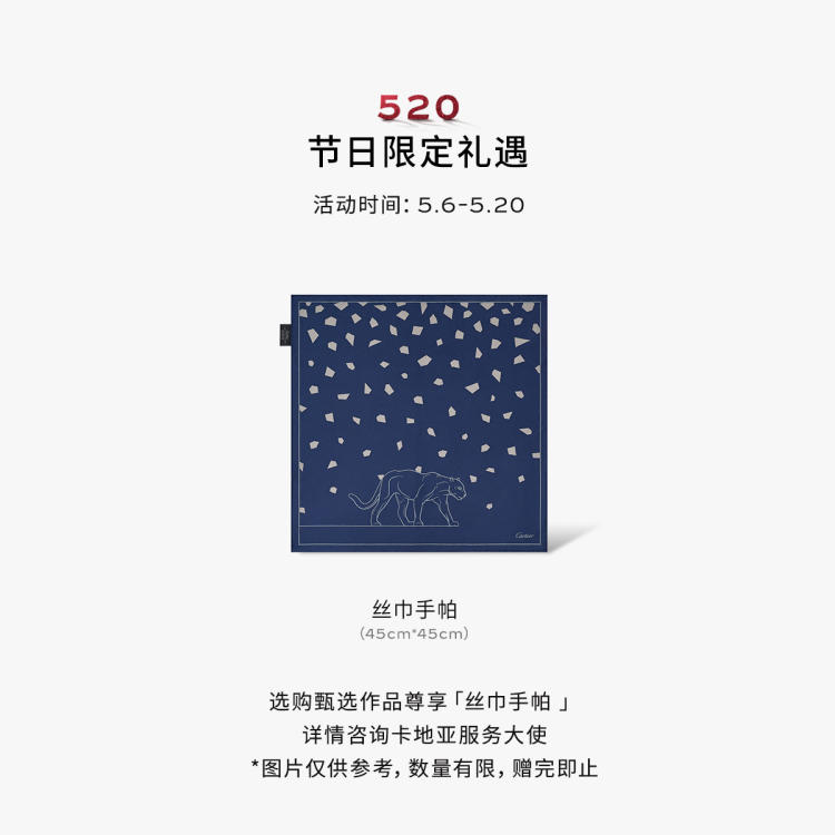 Santos de Cartier链式手链，中号款 18K白金