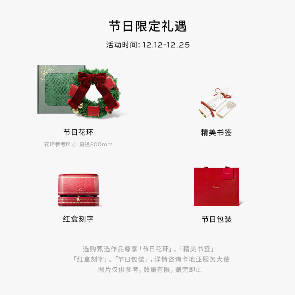 Tank Américaine腕表  精钢 自动上链