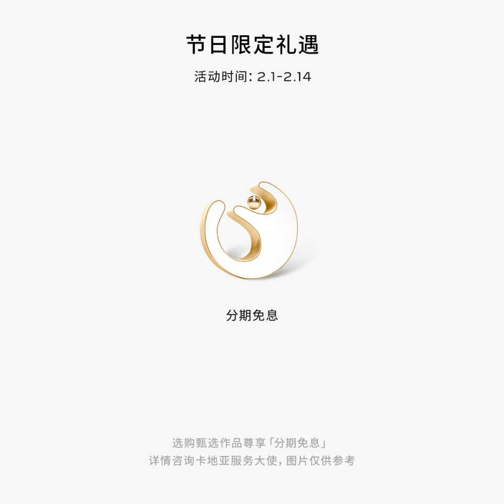 Panthère de Cartier毛毯