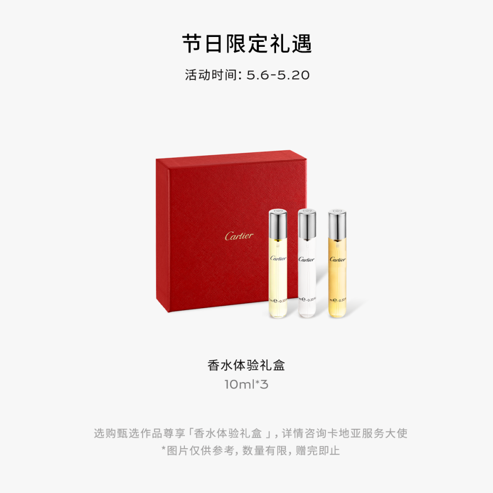 Santos de Cartier链式项链，中号款 18K白金